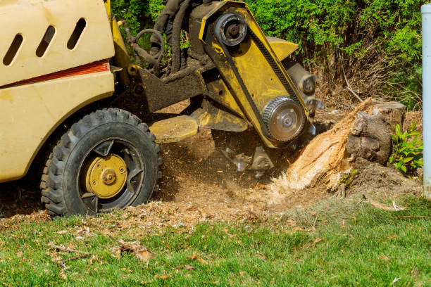 Best Lawn Drainage Solutions  in Lawton, OK