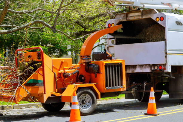  Lawton, OK Tree Services Pros